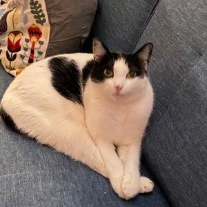 Meet your Posher, Kasey